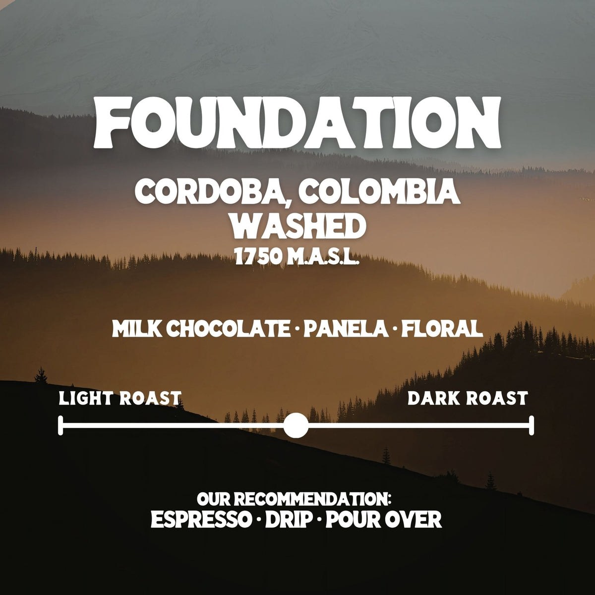 Foundation - Good Grounds Tampa Dade City Coffee Roaster Pasco County Wesley Chapel Land'O'Lakes Fresh Roasted