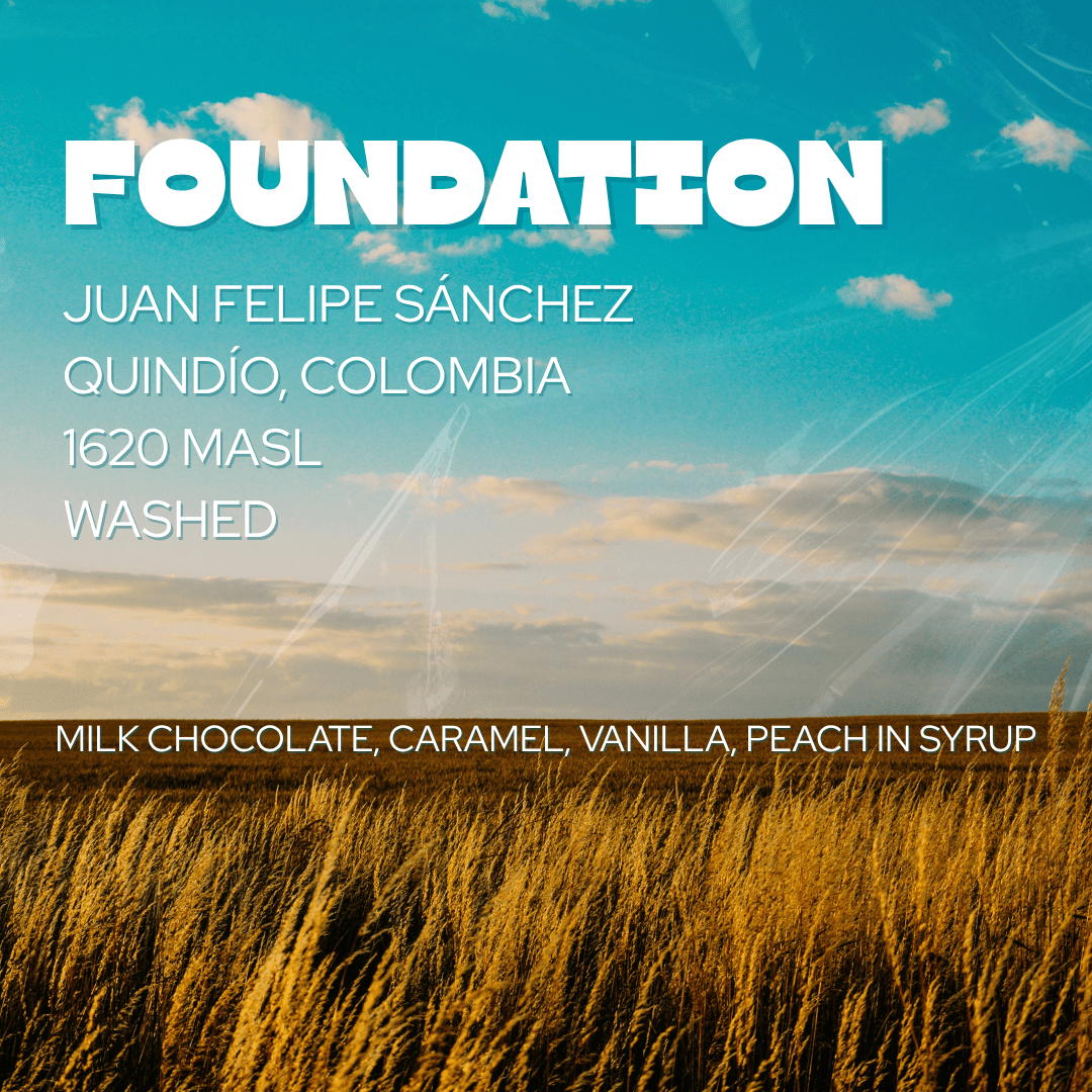 Foundation - Good Grounds Tampa Dade City Coffee Roaster Pasco County Wesley Chapel Land'O'Lakes Fresh Roasted