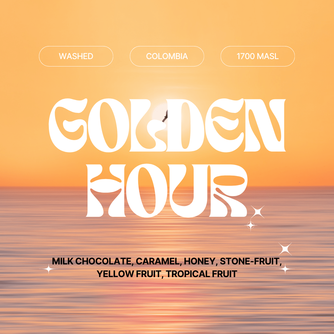 Golden Hour Signature - Good Grounds Tampa Dade City Coffee Roaster Pasco County Wesley Chapel Land'O'Lakes Fresh Roasted