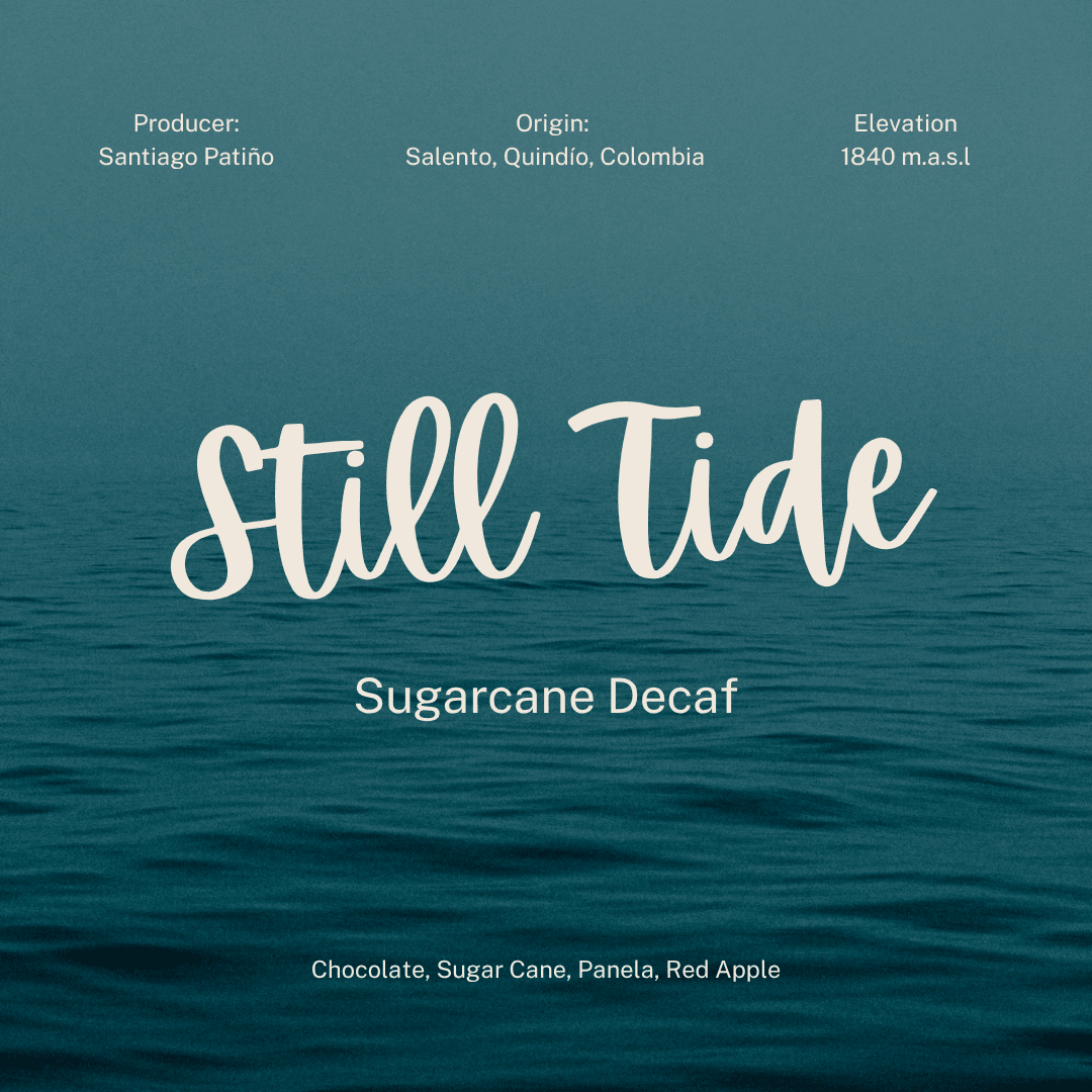 Still Tide Decaf - Good Grounds Tampa Dade City Coffee Roaster Pasco County Wesley Chapel Land'O'Lakes Fresh Roasted