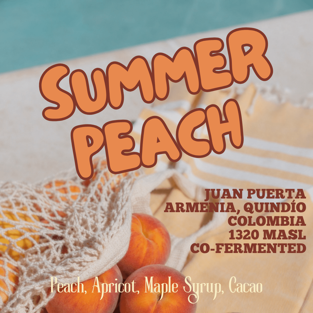 Summer Peach - Good Grounds Tampa Dade City Coffee Roaster Pasco County Wesley Chapel Land'O'Lakes Fresh Roasted