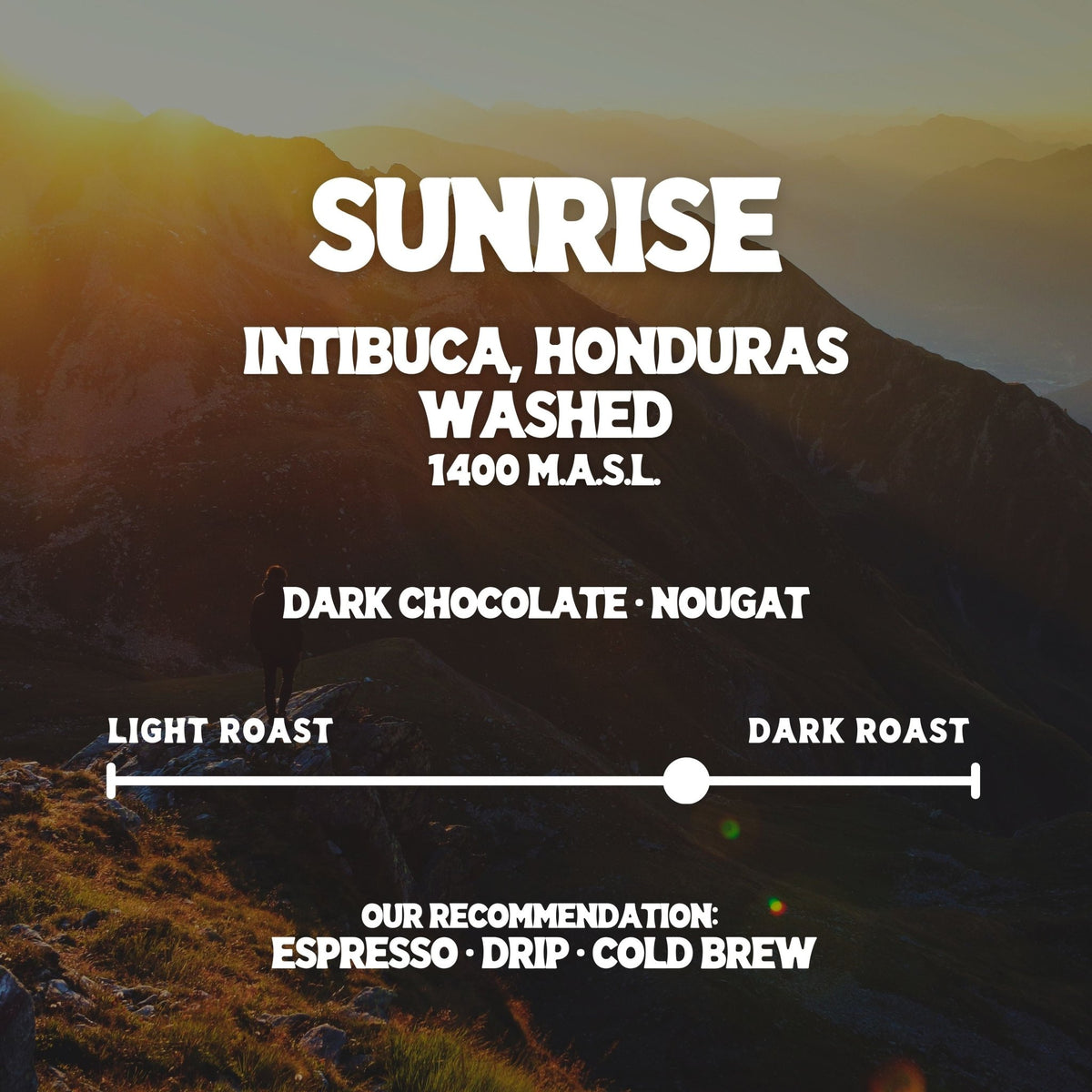 Sunrise - Good Grounds Tampa Dade City Coffee Roaster Pasco County Wesley Chapel Land'O'Lakes Fresh Roasted