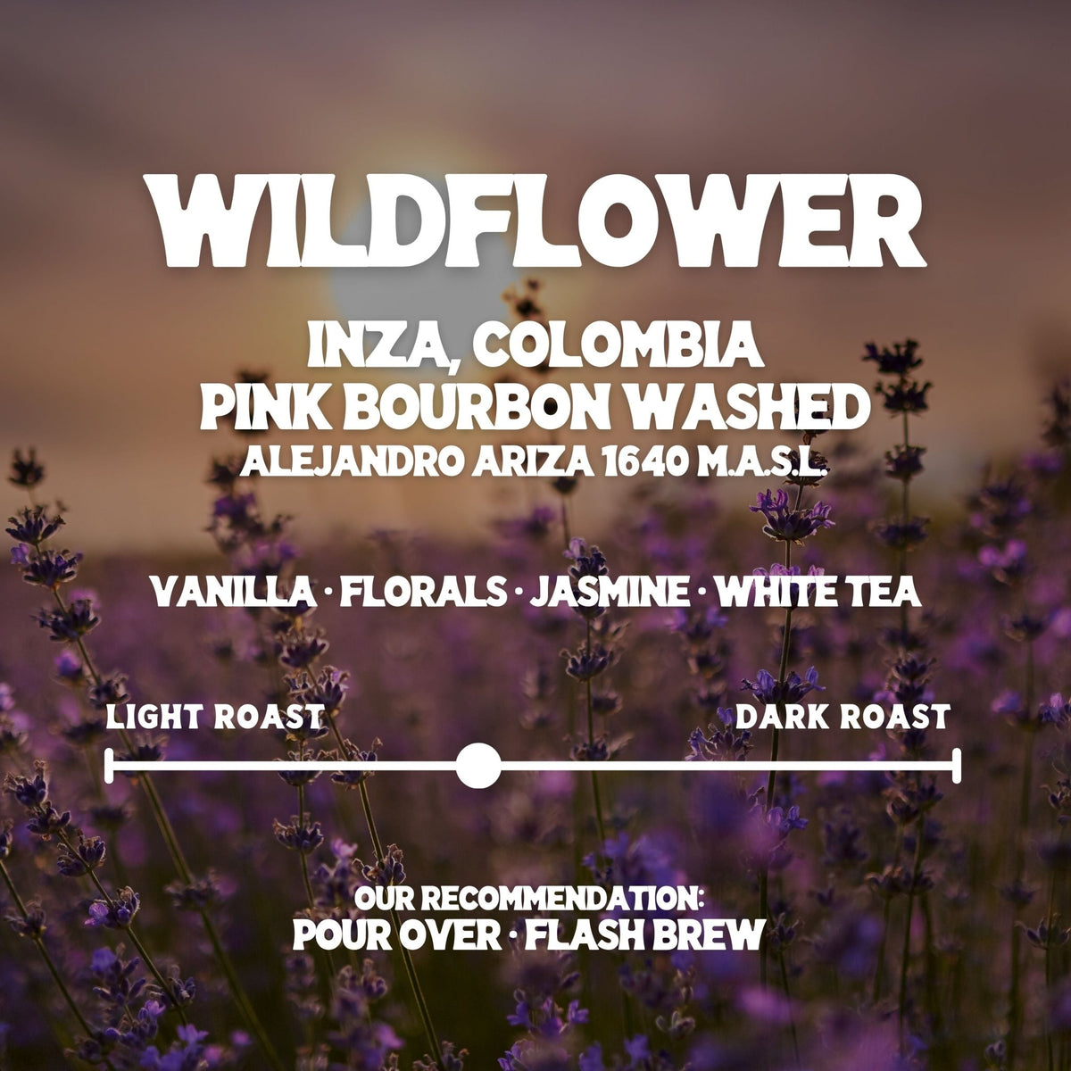 Wildflower - Good Grounds Tampa Dade City Coffee Roaster Pasco County Wesley Chapel Land'O'Lakes Fresh Roasted